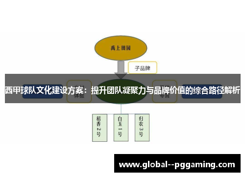 西甲球队文化建设方案：提升团队凝聚力与品牌价值的综合路径解析