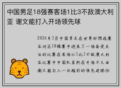 中国男足18强赛客场1比3不敌澳大利亚 谢文能打入开场领先球